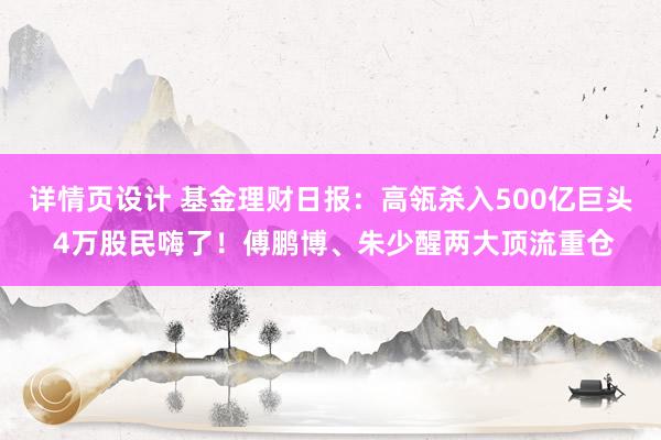 详情页设计 基金理财日报：高瓴杀入500亿巨头 4万股民嗨了！傅鹏博、朱少醒两大顶流重仓