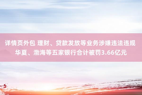 详情页外包 理财、贷款发放等业务涉嫌违法违规 华夏、渤海等五家银行合计被罚3.66亿元