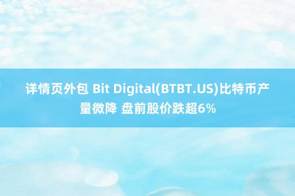 详情页外包 Bit Digital(BTBT.US)比特币产量微降 盘前股价跌超6%