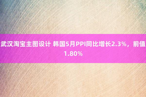 武汉淘宝主图设计 韩国5月PPI同比增长2.3%，前值1.80%