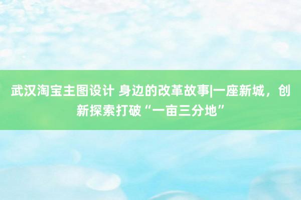 武汉淘宝主图设计 身边的改革故事|一座新城，创新探索打破“一亩三分地”